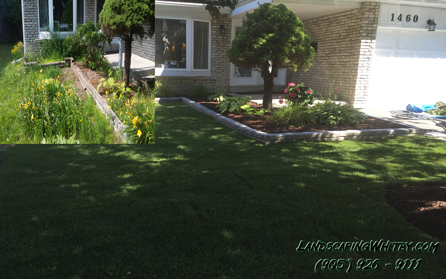 Landscaping Gardening and Sod
